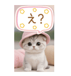 スコティッシュ猫 吹き出し 夏 BIG 敬語（個別スタンプ：16）