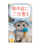 スコティッシュ猫 吹き出し 夏 BIG 敬語（個別スタンプ：17）
