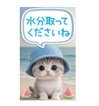 スコティッシュ猫 吹き出し 夏 BIG 敬語（個別スタンプ：19）