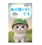 スコティッシュ猫 吹き出し 夏 BIG 敬語（個別スタンプ：21）