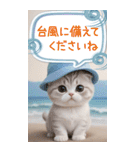 スコティッシュ猫 吹き出し 夏 BIG 敬語（個別スタンプ：22）