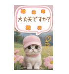スコティッシュ猫 吹き出し 夏 BIG 敬語（個別スタンプ：23）