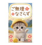 スコティッシュ猫 吹き出し 夏 BIG 敬語（個別スタンプ：26）