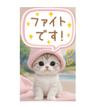 スコティッシュ猫 吹き出し 夏 BIG 敬語（個別スタンプ：29）