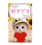 スコティッシュ猫 吹き出し 夏 BIG 敬語（個別スタンプ：30）