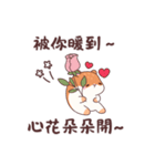 やさしいハムスターの日常挨拶スタンプ（個別スタンプ：12）