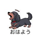 名前入りダックスロングブラタン（個別スタンプ：3）