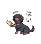 名前入りダックスロングブラタン（個別スタンプ：6）