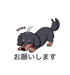 名前入りダックスロングブラタン（個別スタンプ：7）