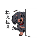 名前入りダックスロングブラタン（個別スタンプ：12）