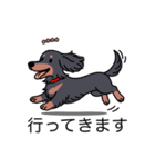 名前入りダックスロングブラタン（個別スタンプ：13）