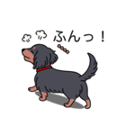 名前入りダックスロングブラタン（個別スタンプ：14）