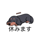 名前入りダックスロングブラタン（個別スタンプ：16）