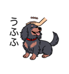 名前入りダックスロングブラタン（個別スタンプ：19）