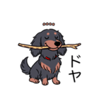 名前入りダックスロングブラタン（個別スタンプ：21）
