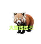 レッサーパンダ C（個別スタンプ：15）