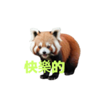 レッサーパンダ C（個別スタンプ：22）