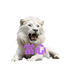 ホワイト ライオン C（個別スタンプ：11）