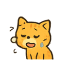 オレンジ猫のにぎやか日常（個別スタンプ：10）