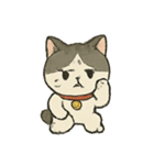 お祓いネコのどたばた七月（個別スタンプ：7）