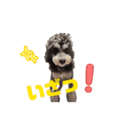 ラミちゃん 4（個別スタンプ：1）