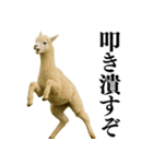 【爆笑】変態のアルパカ＠日常会話（個別スタンプ：2）