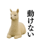 【爆笑】変態のアルパカ＠日常会話（個別スタンプ：4）