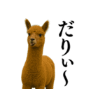 【爆笑】変態のアルパカ＠日常会話（個別スタンプ：6）