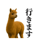 【爆笑】変態のアルパカ＠日常会話（個別スタンプ：10）
