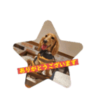 チャコ＆ココ敬語スタンプ（個別スタンプ：3）
