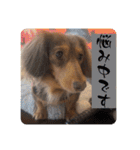 チャコ＆ココ敬語スタンプ（個別スタンプ：12）