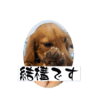チャコ＆ココ敬語スタンプ（個別スタンプ：15）