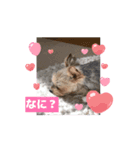 いつものリカちゃん（個別スタンプ：7）