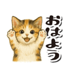 毎日送りやすい♪子猫の日常フレーズ（個別スタンプ：1）