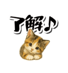 毎日送りやすい♪子猫の日常フレーズ（個別スタンプ：2）