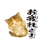 毎日送りやすい♪子猫の日常フレーズ（個別スタンプ：5）