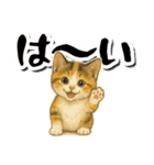 毎日送りやすい♪子猫の日常フレーズ（個別スタンプ：10）