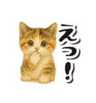 毎日送りやすい♪子猫の日常フレーズ（個別スタンプ：12）