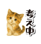 毎日送りやすい♪子猫の日常フレーズ（個別スタンプ：13）