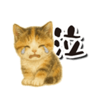 毎日送りやすい♪子猫の日常フレーズ（個別スタンプ：14）
