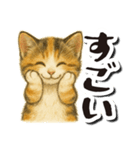 毎日送りやすい♪子猫の日常フレーズ（個別スタンプ：16）