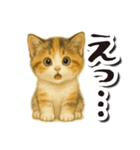 毎日送りやすい♪子猫の日常フレーズ（個別スタンプ：17）