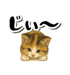 毎日送りやすい♪子猫の日常フレーズ（個別スタンプ：18）