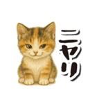 毎日送りやすい♪子猫の日常フレーズ（個別スタンプ：21）