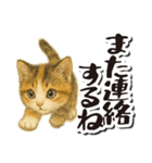 毎日送りやすい♪子猫の日常フレーズ（個別スタンプ：31）