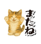 毎日送りやすい♪子猫の日常フレーズ（個別スタンプ：32）