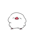 なんだかゆるい文鳥（個別スタンプ：1）