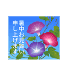 動く！夏の景色【暑中見舞い・残暑見舞い】（個別スタンプ：15）