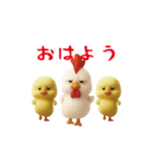 にわとり＆ひよこのおスタンプ（個別スタンプ：1）