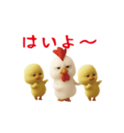 にわとり＆ひよこのおスタンプ（個別スタンプ：4）